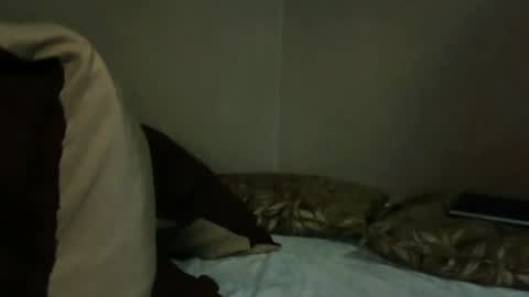 baby_trans21 online show from October 2025 03:30:01 AM