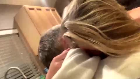 baby blues online show from January 2025 01:53:02 AM