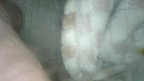 babyxxxangel online show from December 2024 05:40:02 AM