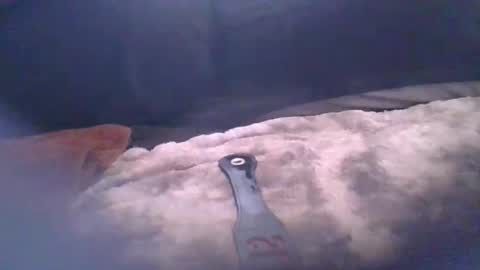 bacchusexx15 online show from April 2026 04:43:02 PM