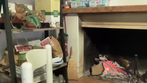 Snapshot of bach77 chatting on December 2024 06:53:02 PM bach online show from December 2024 06:53:02 PM