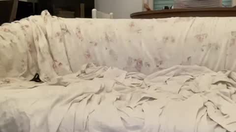 Snapshot of bach77 chatting on February 2025 04:44:01 PM bach online show from February 2025 04:44:01 PM