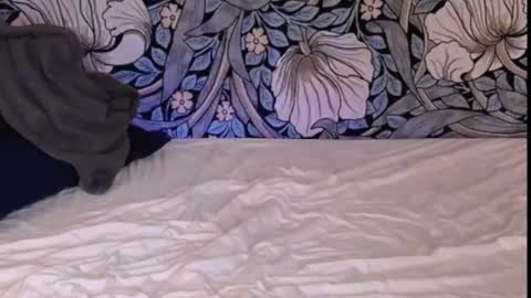 Ava online show from September 2025 01:21:01 AM