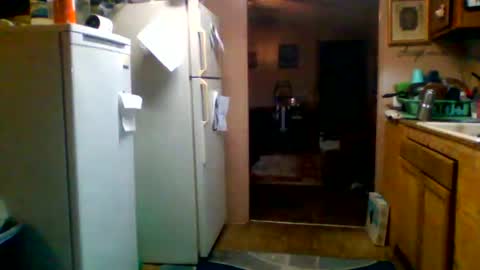 Badbitch520 online show from March 2026 10:37:02 AM