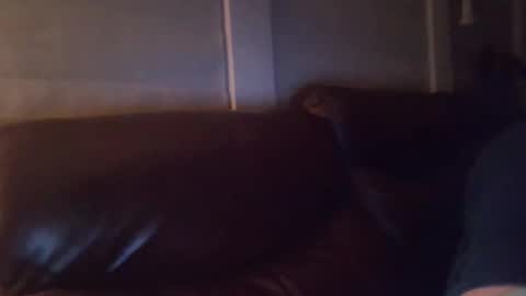 Snapshot of bake66999 chatting on February 2026 06:18:02 AM bake66999 online show from February 2026 06:18:02 AM