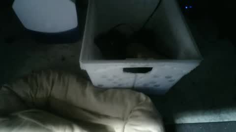 Snapshot of balls_deep_209 chatting on November 2025 09:19:02 AM boton online show from November 2025 09:19:02 AM