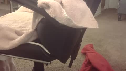 Snapshot of bam10inch chatting on March 2026 12:47:01 AM b online show from March 2026 12:47:01 AM