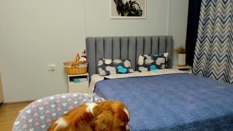 Kira online show from January 2025 04:41:01 PM