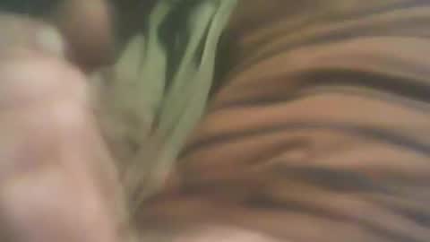 Snapshot of bandapart chatting on September 2025 05:01:01 PM bandapart online show from September 2025 05:01:01 PM