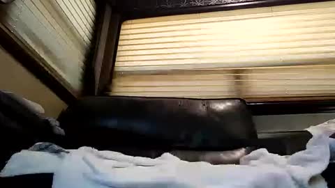 baobabtree8 online show from February 2025 02:14:02 PM