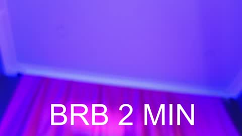 Barbara online show from July 2026 10:39:01 AM