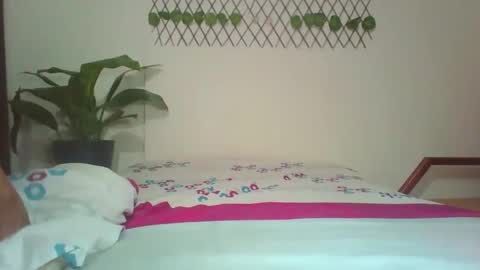 Barbie Queen trans ebonytrans transgirl ass anal online show from December 2025 12:04:01 AM