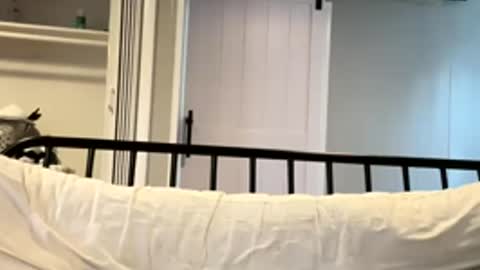 Tsbaby301 online show from March 2026 06:59:02 PM