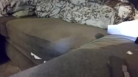 Snapshot of barrett4200 chatting on January 2025 12:15:01 AM barrett4200 online show from January 2025 12:15:01 AM