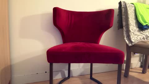 Snapshot of batestallion9x6 chatting on January 2026 11:14:02 AM Batestallion9x6 online show from January 2026 11:14:02 AM