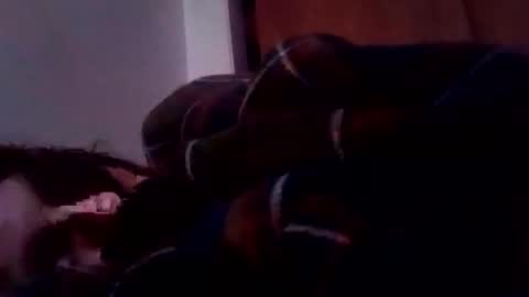 bathingcat online show from January 2025 06:10:02 PM