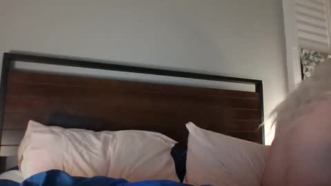 BjBambi online show from December 2024 11:29:01 AM