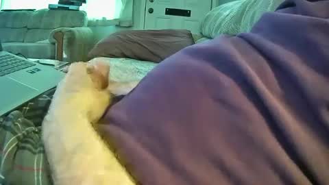 Snapshot of bcema2 chatting on September 2025 05:28:01 PM bcema2 online show from September 2025 05:28:01 PM