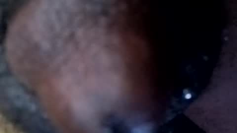 Snapshot of bcfalcon69 chatting on April 2026 02:40:02 AM bcfalcon69 online show from April 2026 02:40:02 AM