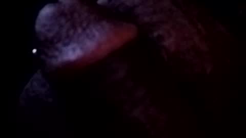 Snapshot of bcfalcon69 chatting on May 2026 03:45:02 AM bcfalcon69 online show from May 2026 03:45:02 AM