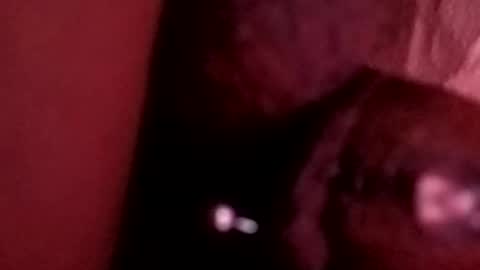 Snapshot of bcfalcon69 chatting on May 2026 06:20:01 AM bcfalcon69 online show from May 2026 06:20:01 AM