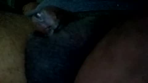 Snapshot of bcfalcon69 chatting on May 2026 04:53:01 AM bcfalcon69 online show from May 2026 04:53:01 AM