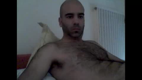 Snapshot of bear14250949 chatting on October 2025 09:10:01 AM bear14250949 online show from October 2025 09:10:01 AM