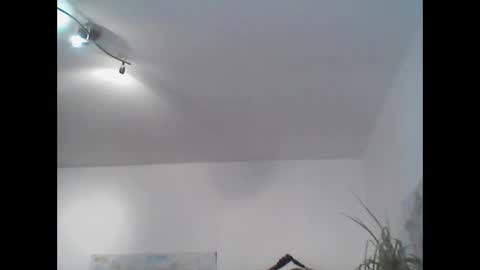 Snapshot of bear14250949 chatting on November 2025 11:45:01 AM bear14250949 online show from November 2025 11:45:01 AM