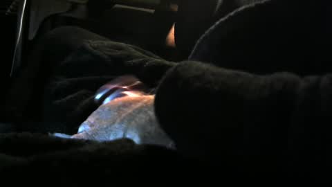 Snapshot of bear4146 chatting on December 2024 03:24:02 PM bear4146 online show from December 2024 03:24:02 PM