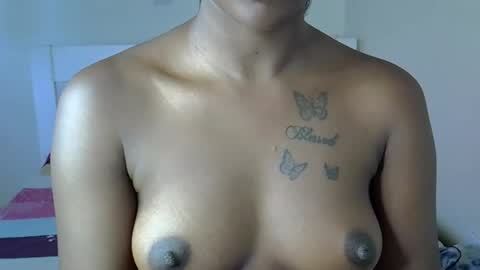 bedmaster_d online show from February 2026 02:43:01 PM