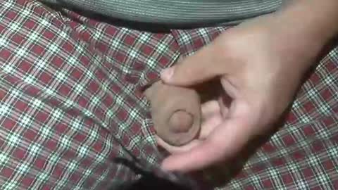 Snapshot of beer27 chatting on October 2025 02:12:02 AM Reservoir Dogs online show from October 2025 02:12:02 AM