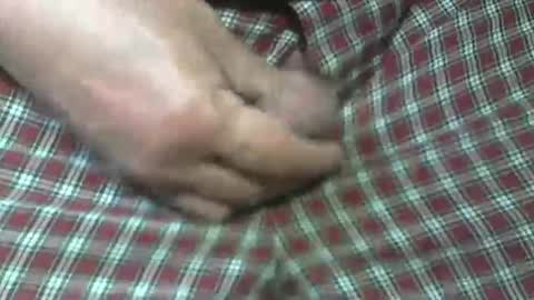 Snapshot of beer27 chatting on October 2025 05:47:03 PM Reservoir Dogs online show from October 2025 05:47:03 PM