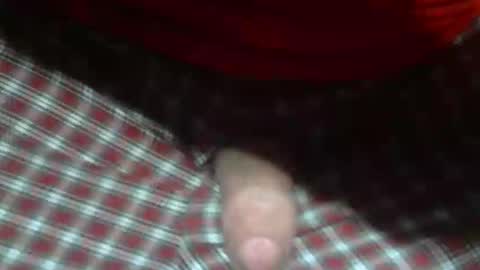 Snapshot of beer27 chatting on February 2026 12:48:02 AM Reservoir Dogs online show from February 2026 12:48:02 AM