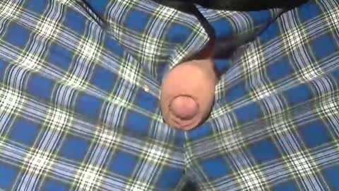 Snapshot of beer27 chatting on February 2026 11:28:02 AM Reservoir Dogs online show from February 2026 11:28:02 AM