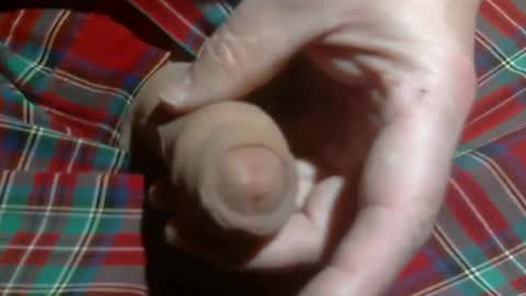 Snapshot of beer27 chatting on March 2026 04:36:02 AM Reservoir Dogs online show from March 2026 04:36:02 AM