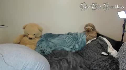 Snapshot of beethebumblebee chatting on February 2026 10:35:01 AM Bee online show from February 2026 10:35:01 AM