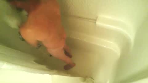 Snapshot of begme88 chatting on April 2026 04:24:02 AM begme88 online show from April 2026 04:24:02 AM