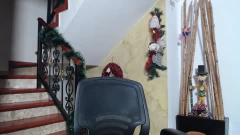 independent model online show from November 2025 11:19:02 PM