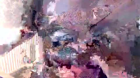 Snapshot of bella_miax chatting on December 2024 08:11:02 AM online show from December 2024 08:11:02 AM