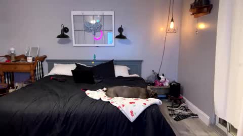 Snapshot of bellabeanz chatting on February 2025 12:09:01 AM Roxy Rain online show from February 2025 12:09:01 AM