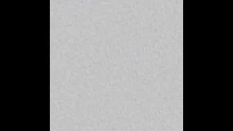 bellamwah online show from December 2025 07:48:02 AM