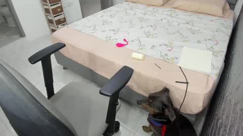 Snapshot of bellaprettty chatting on February 2025 10:26:02 PM Bella Angelycal online show from February 2025 10:26:02 PM