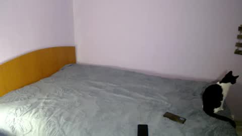 Snapshot of bellaqueen0701 chatting on March 2025 05:33:01 PM bellaqueen0701 online show from March 2025 05:33:01 PM