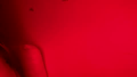 Belle xx online show from November 2025 08:12:01 AM