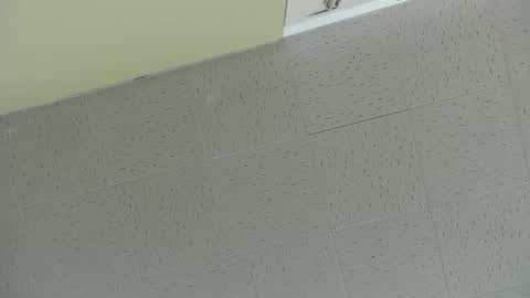 Snapshot of bennn54 chatting on March 2025 07:45:02 PM Ben online show from March 2025 07:45:02 PM