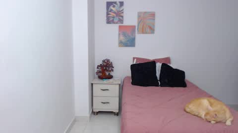 benny online show from January 2025 09:01:02 AM