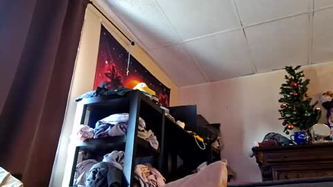 benwylder91 online show from July 2026 08:11:01 PM