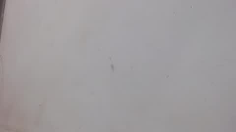 Bergon77 online show from February 2025 01:02:02 AM