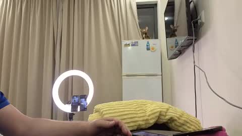 best_ass2000 online show from May 2026 06:58:02 PM