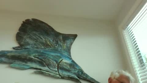 bestshot1951 online show from March 2026 01:49:01 PM